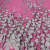 Изображение Фукра купон костюмная, ацетат с вискозой, розовая, подснежники