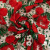 Изображение Кружево крученое, красные и белые цветы