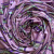Изображение Трикотаж, вискоза, стретч, розовый с полоской, дизайн EMILIO PUCCI