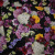 Изображение Жаккард хлопковый, цветы на черном, дизайн D&G