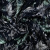 Изображение Хлопок, тропики на темно-синем