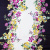 Изображение Шелк стрейч, двусторонняя кайма, цветы