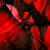 Изображение Шелк купон красный, черный, дизайн ROBERTO CAVALLI