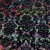 Изображение Шифон с флоком, цветное полотно с черной растительной графикой