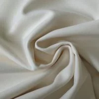 Изображение Пальтовая ткань, айвори, дизайн ETRO
