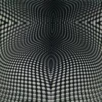 Изображение Крепдешин оптическая иллюзия, дизайн GUCCI